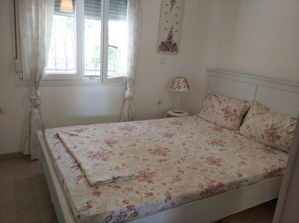 Δεσποινα Apartamento Néa Péramos Exterior foto